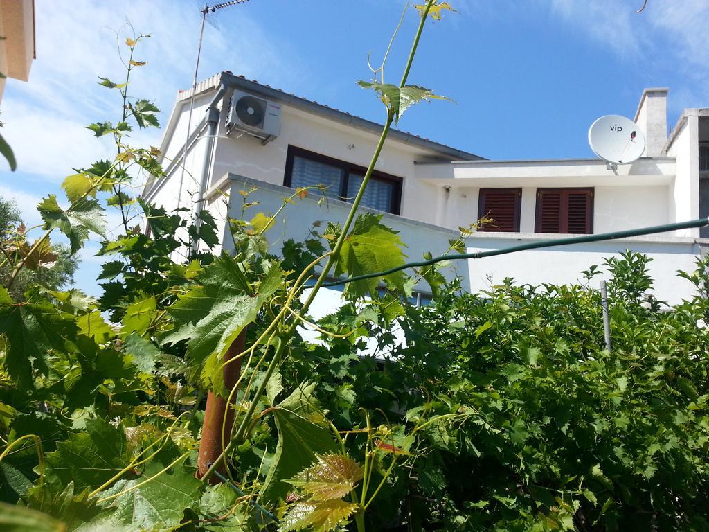 Apartments Maslina Božava 部屋 写真