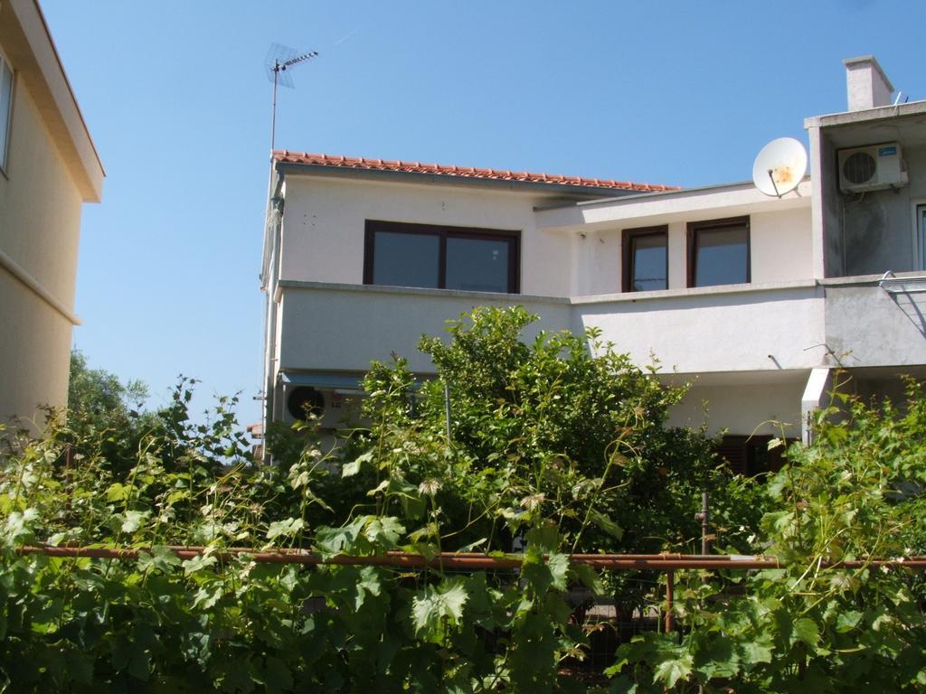 Apartments Maslina Božava 部屋 写真